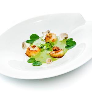 photographe auvergne